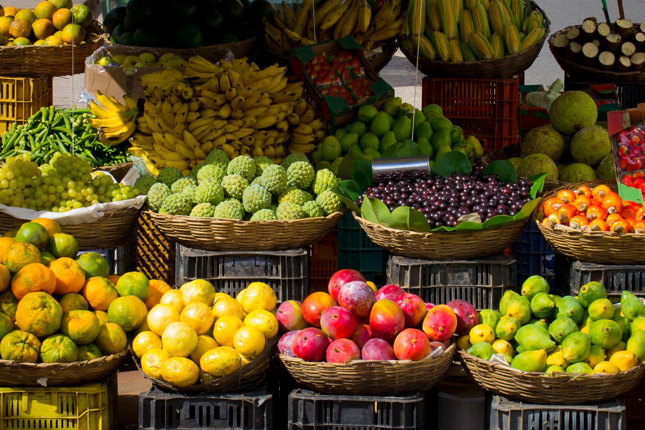 Noah Chemicals is your single source for both traditional and custom chemical products. Lots of different fruit in baskets at a farmers market