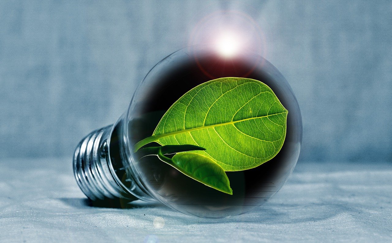 light bulb leaf green chemistry chemical