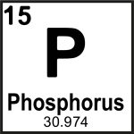 phosphorus periodic element