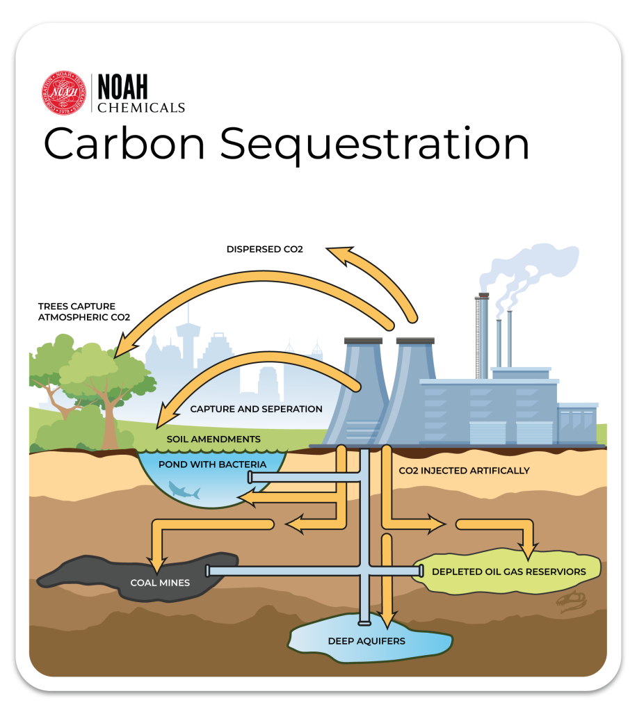 the CO2 sequestration process